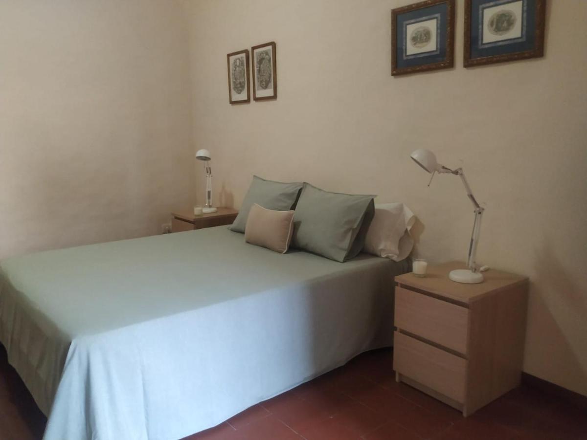 Alfacs Apartamento Sant Carlos de la Ràpita Exterior foto