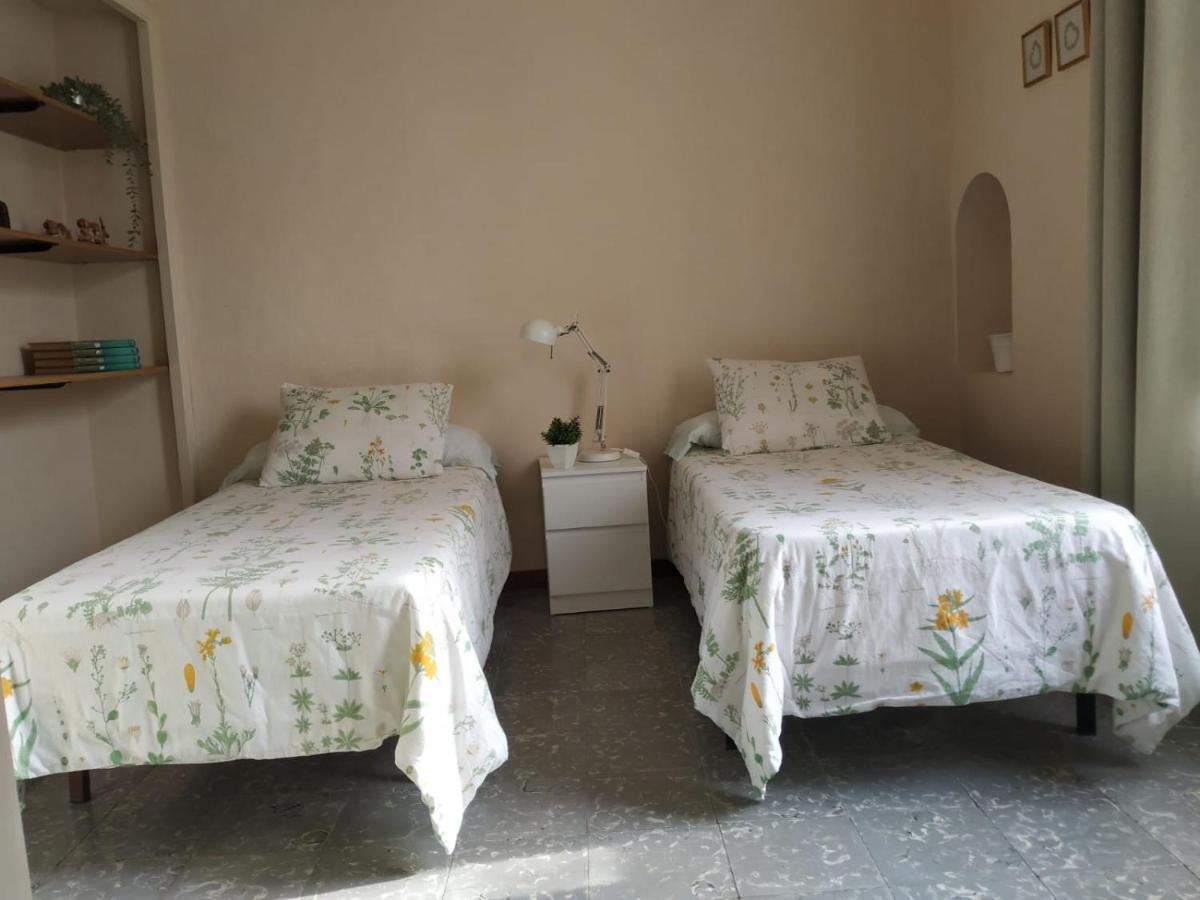 Alfacs Apartamento Sant Carlos de la Ràpita Exterior foto